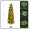 National Tree Company Pre-Lit Slim Carolina Pine Artificial Christmas Tree Clear Lights - 4 of 4