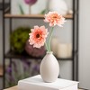 Sullivans 7.75", 5.5" & 4.25" Matte Teardrop Vase Set of 3, Ceramic - 3 of 4