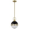 Nuvo Lighting Everton 1 - Light Pendant in  Matte Black - 4 of 4