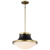 Nuvo Lighting Lafayette 1 - Light Pendant in  Matte Black - 2 of 4