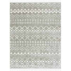 Berber Fringe Shag BFG516 Power Loomed Indoor Rugs - Safavieh - 1 of 4