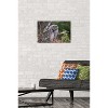 Trends International The Comedy Wildlife Photography Awards: John Blumenkamp - Monday Blahs Unframed Wall Poster Prints - 2 of 4