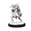 Dungeons & Dragons Nolzur's Marvelous Miniatures - Winter Eladrin & Spring Eladrin - 3 of 4