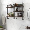 Racxily 3-Tier & 2-Tier Bathroom Shelves, Metal and Wood Hanging Storage Organizer - 2 of 4