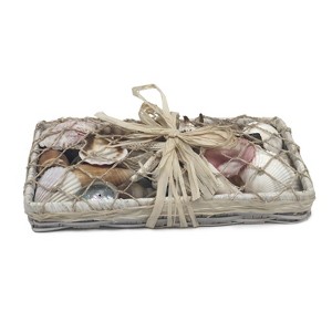 Beachcombers White Long Shell Basket Decorative Gift Box Ocean Coastal Nautical Beach 8x4x1 - 1 of 1