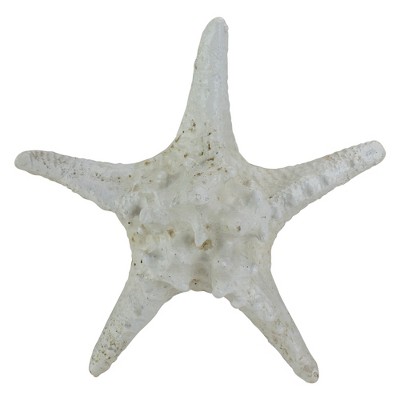 Northlight Nautical Starfish Coastal Decoration - 11.75" - Sandy White and Brown