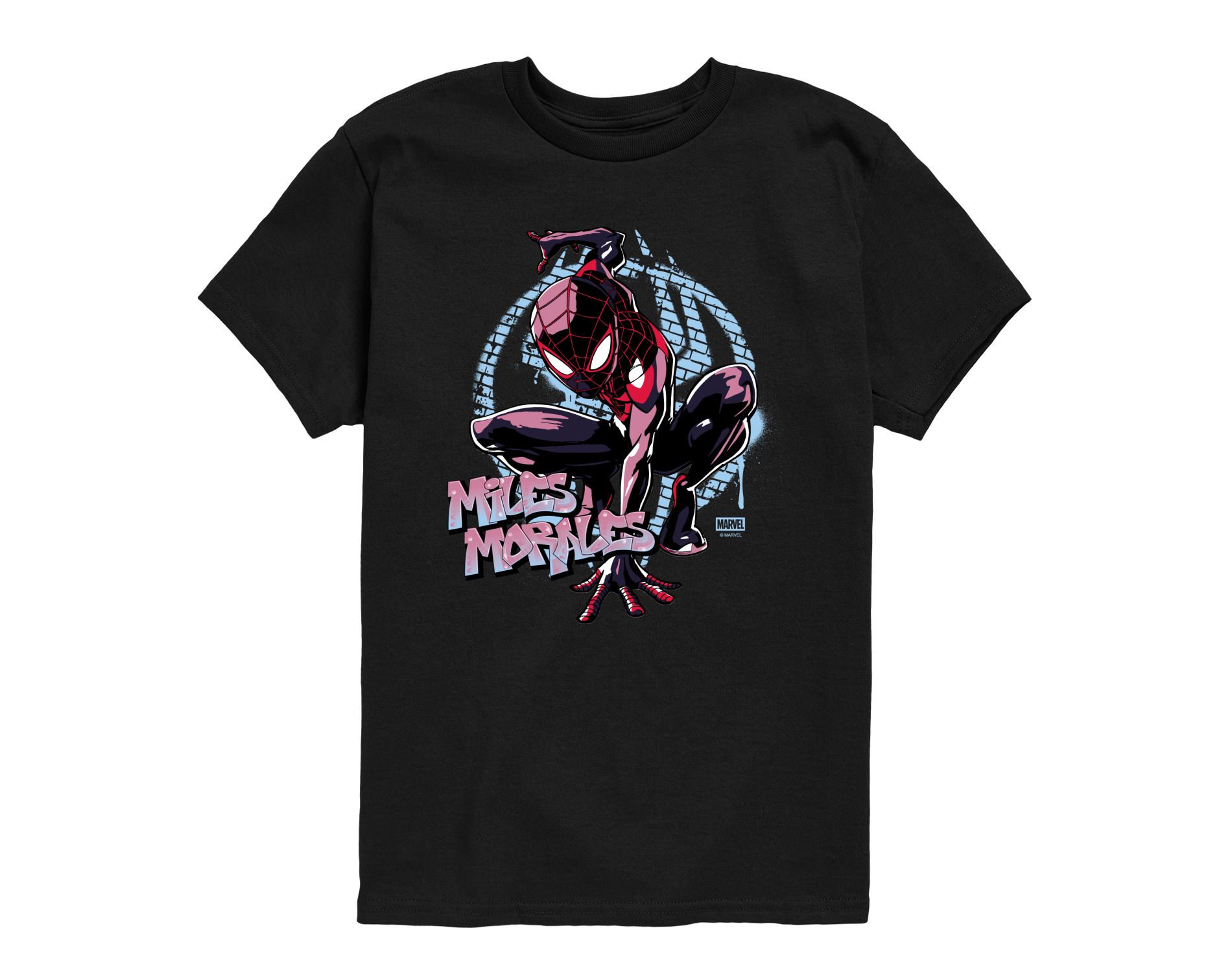 Boys' Spider-Man Miles Spraypaint Short Sleeve Graphic T-Shirt - Black - Small