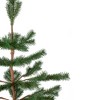 Northlight Real Touch™️ Ponderosa Pine Medium Artificial Christmas Tree with Jute Base – Unlit - 3' - 3 of 4