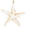Gallerie II Gold Trim Double Sea Star Ornament - 3 of 3
