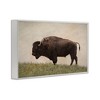 Stupell Industries Serene Buffalo on Country Hill Framed Giclee Art - 2 of 4