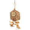 Prevue Pet Products Naturals Dreamers Delight Bird Toy - 4 of 4