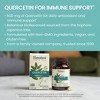 Himalaya Quercetin Supplement for Plant-Based Bioflavonoid Support and Daily Wellness, 500 mg, Non-GMO, 60 Vegetarian Caplets, 2 Month Supply - 3 of 4