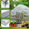 EROMMY 10' W x 10' D Hobby Greenhouse - 4 of 4