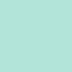 cool mint chip