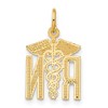 Black Bow Jewelry 14k Yellow Gold Satin and Diamond Cut Nurse Charm - 3 of 4