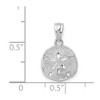 Black Bow Jewelry 14k Yellow or White Gold Textured Sand Dollar Pendant, 12mm (7/16 In) - 3 of 4