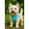 Parisian Pet 'Freedom Harness Polka Dot' for Dogs & Cats – Adjustable Blue Dog Harness, Stylish and Durable Fit - 3 of 3