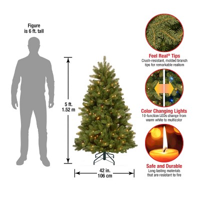 5' Prelit Newberry Spruce Artificial Christmas Tree with Dual Color LED Lights