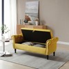 63" Velvet/PU Tufted Nailhead Trim Storage Bench with 1 Pillow - ModernLuxe - 2 of 4