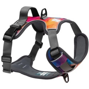 Embark Harness Co. Adventure No Pull Dog Harness - 1 of 4