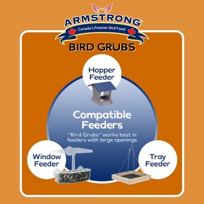 Armstrong Bird Grubs 0.33lb High-Energy Wild Bird Food