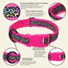 Country Brook Petz Deluxe Ribbon Dog Collar, Bright Spirits Collection - 3 of 4