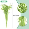 Unique Bargains Dried Grass Chasmanthium Oat Home Decor Flower Bouquet 1 Pc - 3 of 4