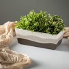 Sullivans Artificial 6" Fern Mixed Green Orb, Green - 3 of 3