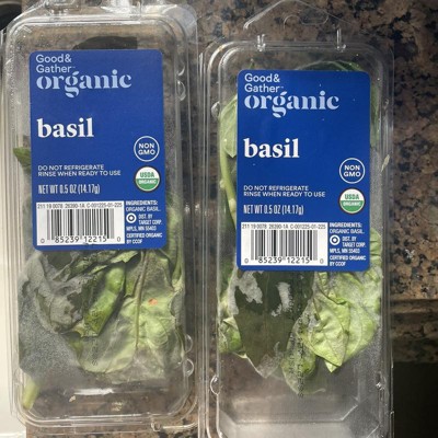 Organic Basil 0.5oz Good Gather Target