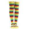 Striped Patterned - Over the Knee Socks - from the Sock Panda (Women's Sizes, Adult Medium) - 4 of 4