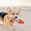 Pavilion Gift Company - Lake Dog - 12" Canvas Dog Toy on Rope - Pet Toy - 2 of 4
