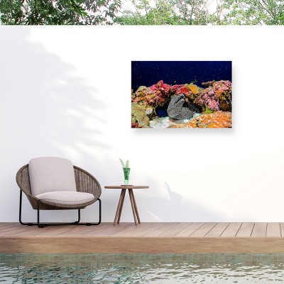 Trademark Fine Art - Roberto Marchegiani Under The Star Matted Framed Art