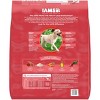 IAMS Proactive Health Lamb and Rice Flavor Large Breed Adult Dry Dog Food - 2 of 4