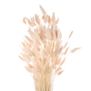 Unique Bargains Decorative Natural Dried Floral Bunny Tail Artificial Plants 120 Pcs - 1 of 4