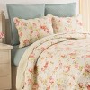 C&F Home 20" x 26" Whitney Floral Cotton Standard Sham - Machine Washable - 3 of 4