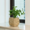 Vintiquewise Woven Square Flower Pot Planter with Leak-Proof Plastic Lining - image 2 of 4