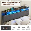 Queen Size Upholstered Platform Bed Frame with Storage Drawers, RGB LED Headboard, USB & Type-C Charging Ports, Velvet Fabric - 4 of 4
