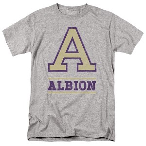 Men's Albion College Official Distressed Primary Logo T-Shirt - 1 of 4