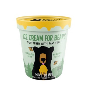 Ice Cream For Bears Frozen Mint & Chocolate Chip Ice Cream - 14 fl oz - 1 of 4