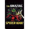 Trends International Marvel Comics Spider-Man - Villains Web Unframed Wall Poster Prints - 4 of 4