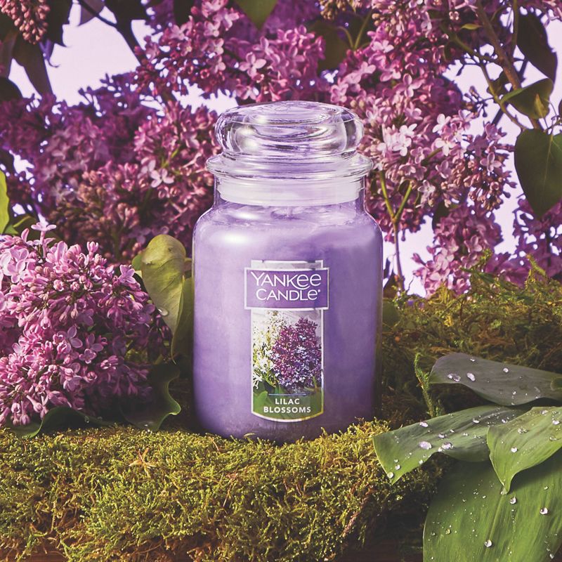 22oz Lilac Balsm Large Jar Candle, 2 of 8