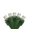 Northlight LED Wide Angle Christmas Lights - Warm White - 24.5' Green Wire - 50ct - 2 of 3
