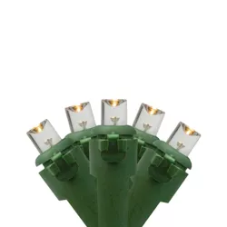 Northlight 50 Battery Operated Warm White LED Wide Angle Christmas Lights - 24.5 ft Green Wire
