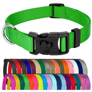 Country Brook Petz Everyday Nylon Dog Collar - 1 of 4