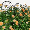 MOEPISY 2 Pack Metal Garden Trellis 86.7 inch x 19.7 inch Rustproof Trellis Black - 3 of 4