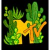Men's MTV Cactus Desert Logo Lounge Pants - 2 of 3