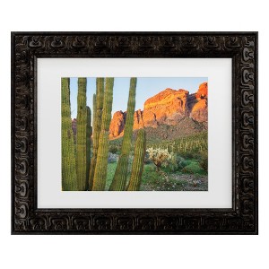 Trademark Fine Art - Alan Majchrowicz Organ Pipe Cactus National Monument Arizona Matted Framed Art - 1 of 4