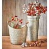 tagltd Rose Hip Spray 18 Inch - 2 of 2