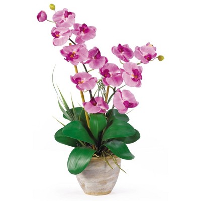 Multicolor 25" Double Stem Phalaenopsis Silk Orchid in Ceramic Vase