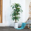 5-6ft UV & Sunproof Artificial Dracaena Tree for Indoor/Outdoor - Faux Silk Plant in Tall Planter, Tall Faux Tree for Home & Garden Decor - 4 of 4